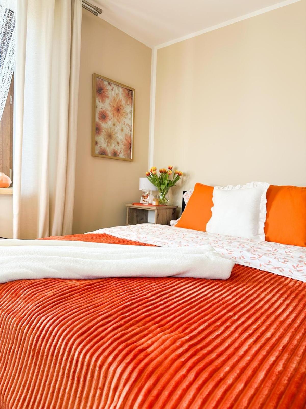 Prestige Harmony Borki 1b Blisko Jeziora I Lasu Apartment Augustow